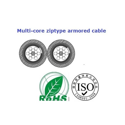 https://www.hdd-fiber-optic.com/425-831-thickbox/multi-fiber-flat-armored-fiber-optical-cable24-fibers.jpg