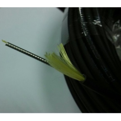 https://www.hdd-fiber-optic.com/437-777-thickbox/-ftth-waterproof-armored-cable-45mm-2core.jpg