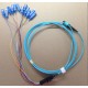 MPO-SC Fan-out  Multimode OM3 Trunk cable