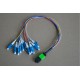 MPO LS SC Hybrid Trunk Cables﻿