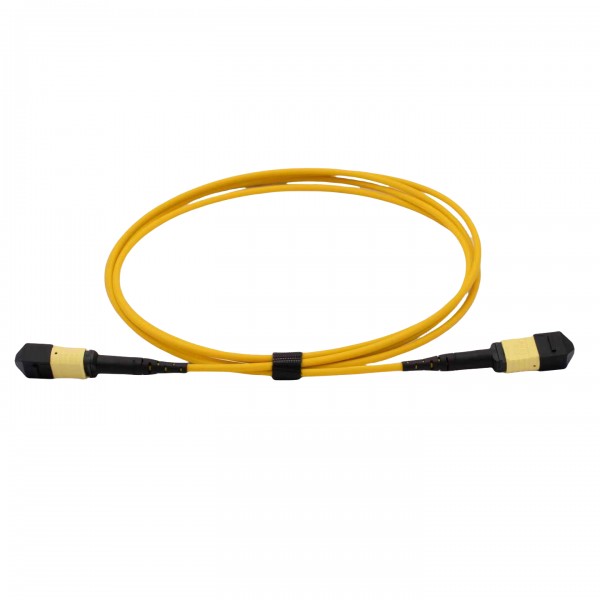 MPO/MTP Fiber Optic Cables|Patch cord